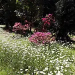 Апартаменты Coris Magnolia Мерано