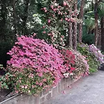 Coris Magnolia Апартаменты