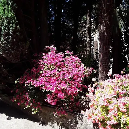 Coris Magnolia Apartment *