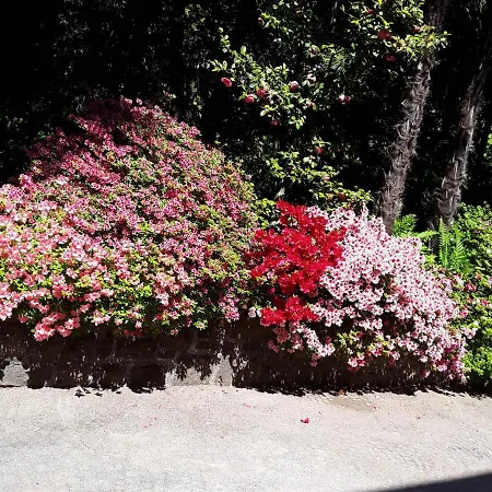 Coris Magnolia Appartement Meran