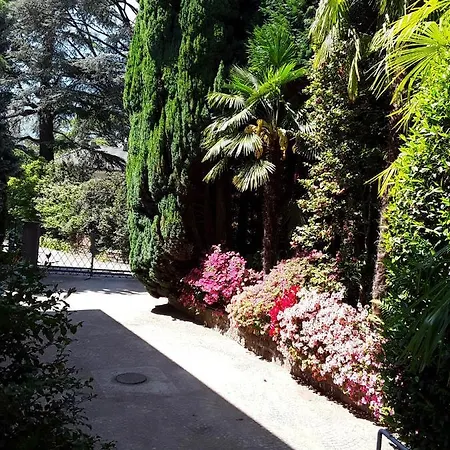 Apartment Coris Magnolia *