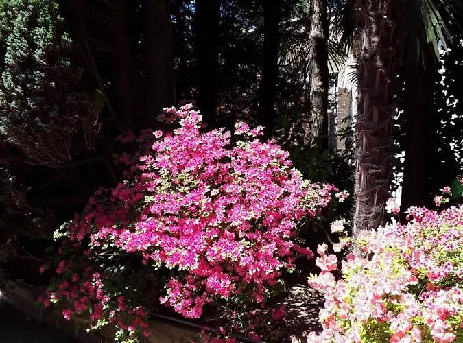 Coris Magnolia Appartement *