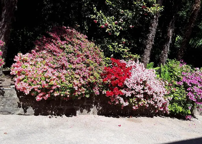 Coris Magnolia Apartment Meran