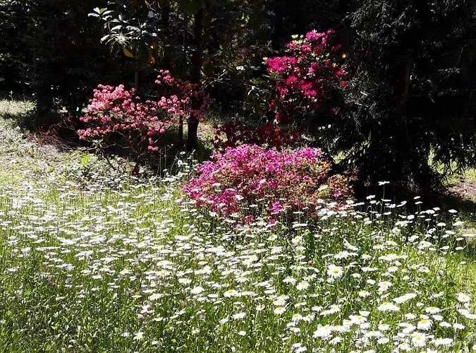 Coris Magnolia Appartement *